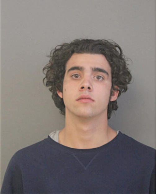 DONALD A PERRY, Cook County, Illinois