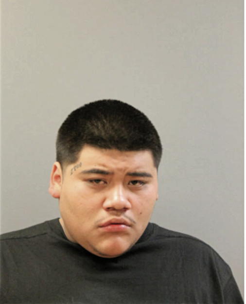 DAMIEN REYES, Cook County, Illinois
