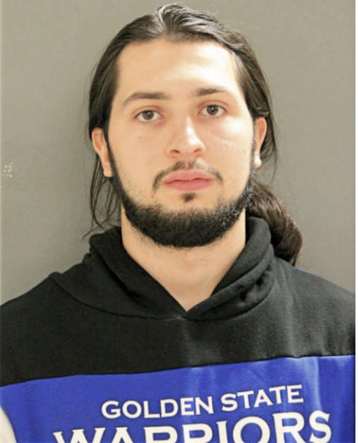 JAMES D YOUNG, Cook County, Illinois