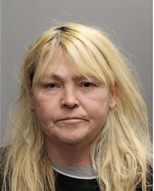 ELIZABETH L ZIEMANN, Cook County, Illinois