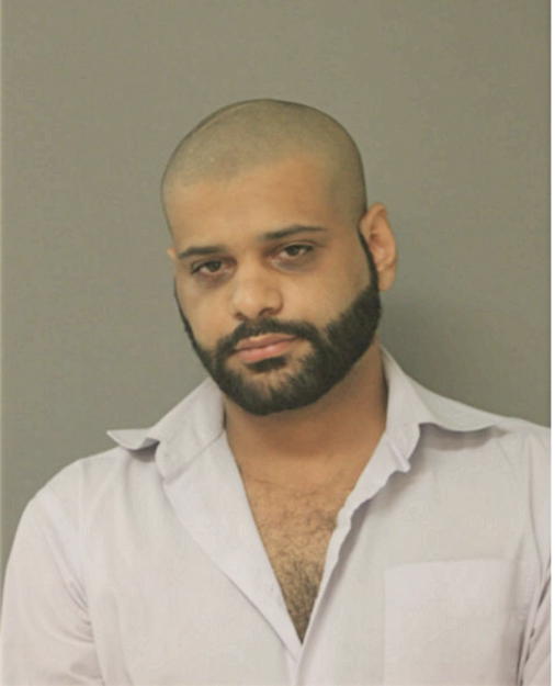 MOHAMAD IBRAHIM ALDEMUR, Cook County, Illinois