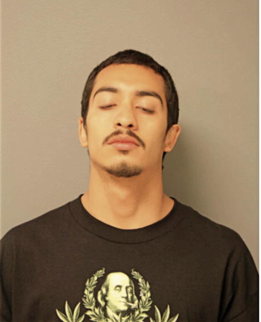 JAIME E ALMAREZ, Cook County, Illinois