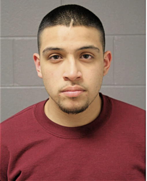 CHRISTIAN A BARCENAS, Cook County, Illinois