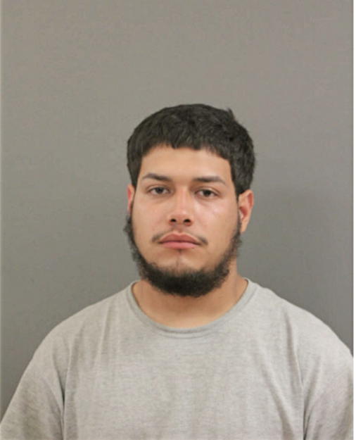 EDGAR I BORGES VELEZ, Cook County, Illinois