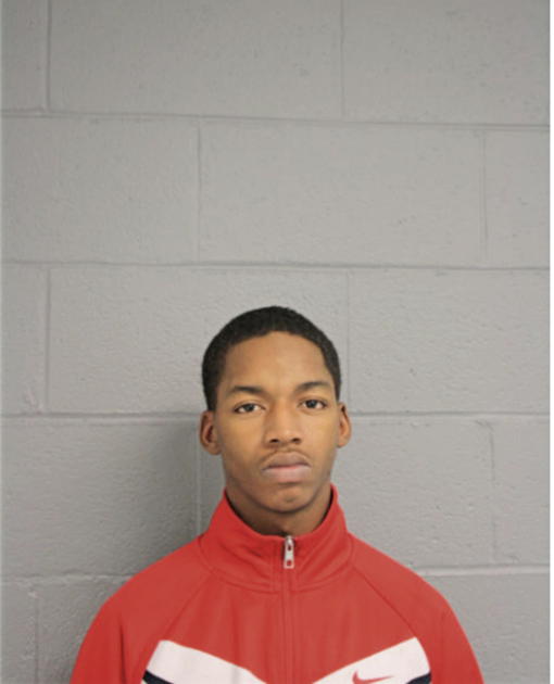 STEVEN L CALHOUN, Cook County, Illinois