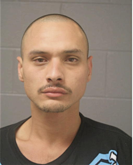 DAVID CEVALLOS, Cook County, Illinois