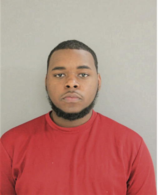 DANIEL E COLEMAN, Cook County, Illinois