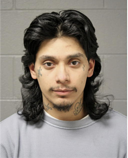 ISRAEL DIAZ, Cook County, Illinois