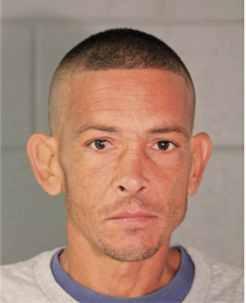 CARLOS A FELIX, Cook County, Illinois