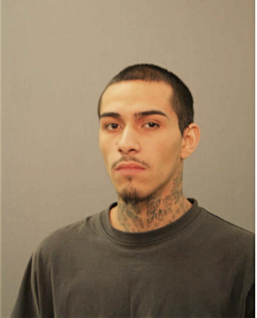 STEVE A FERNANDEZ, Cook County, Illinois