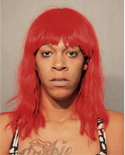 KENNETH L FLOYD, Cook County, Illinois