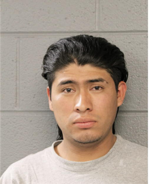WALTER J GONZALEZ, Cook County, Illinois