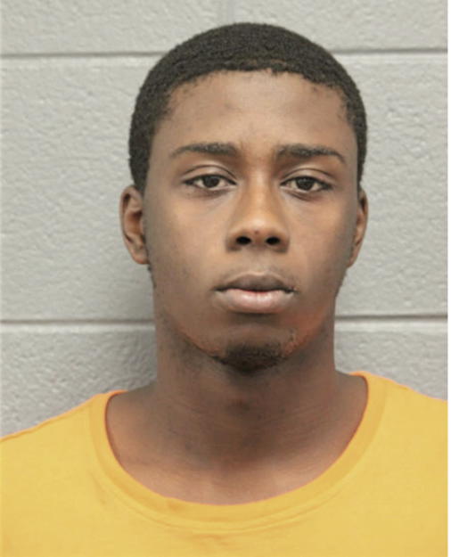 LEON M HORTON, Cook County, Illinois