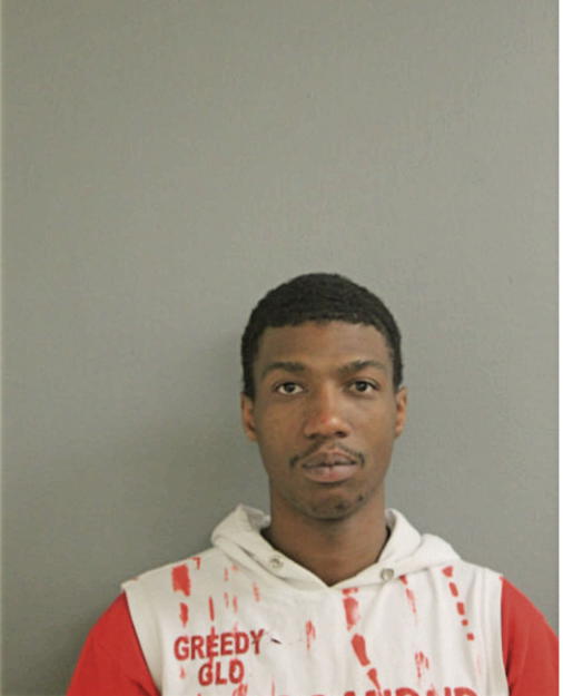 ROBERT T HUNT, Cook County, Illinois