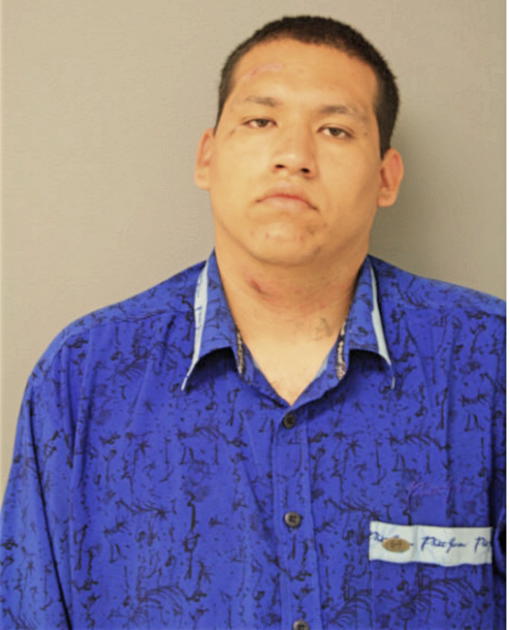 RENE JAIME, Cook County, Illinois