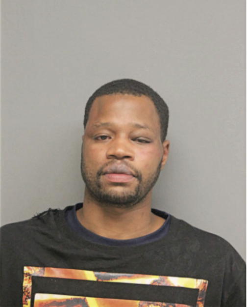 BRIAN P JOHNSON, Cook County, Illinois