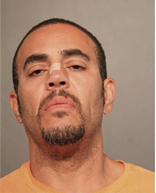 DAVID J KING, Cook County, Illinois