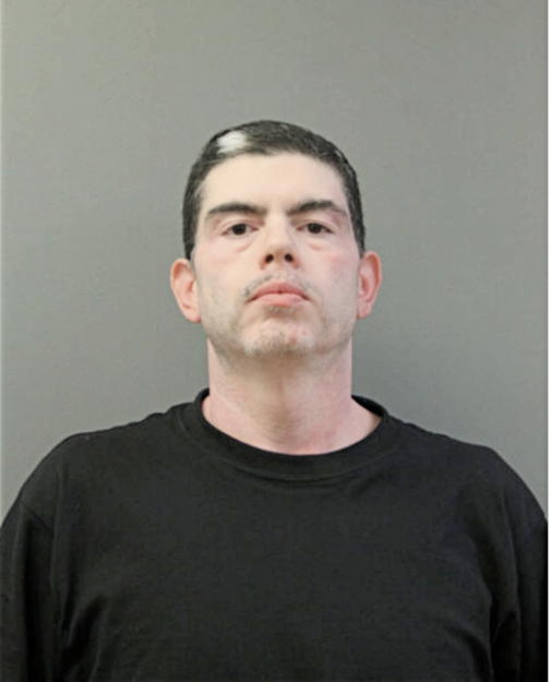 PEDRO L MUNOZ, Cook County, Illinois