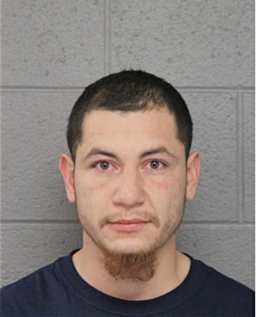 ARIEL NAVA, Cook County, Illinois