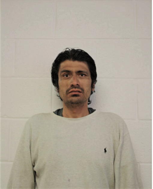 FELIPE A REYES, Cook County, Illinois