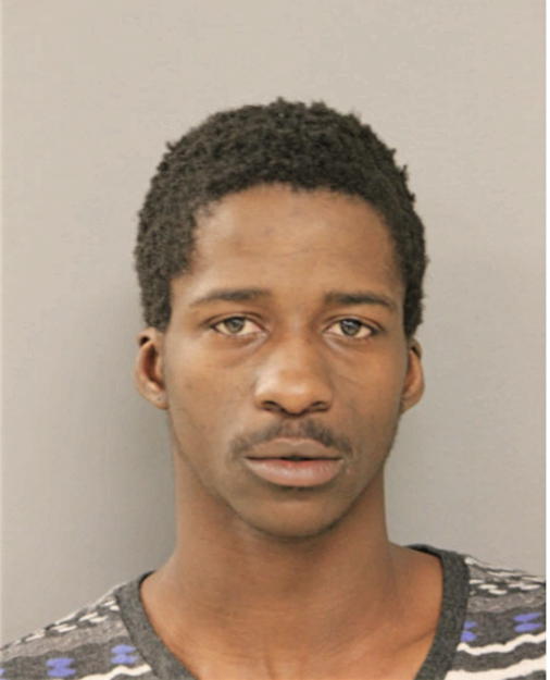 REGGIE L RICKS, Cook County, Illinois