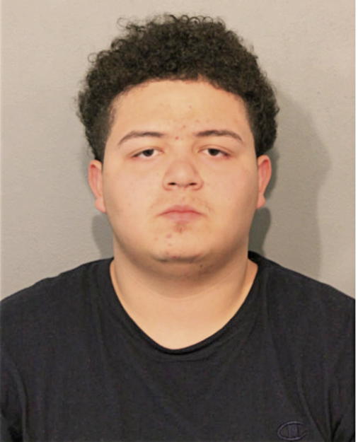 LEANDRO ROMO, Cook County, Illinois