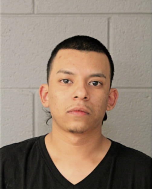 CARLOS ROSAS, Cook County, Illinois