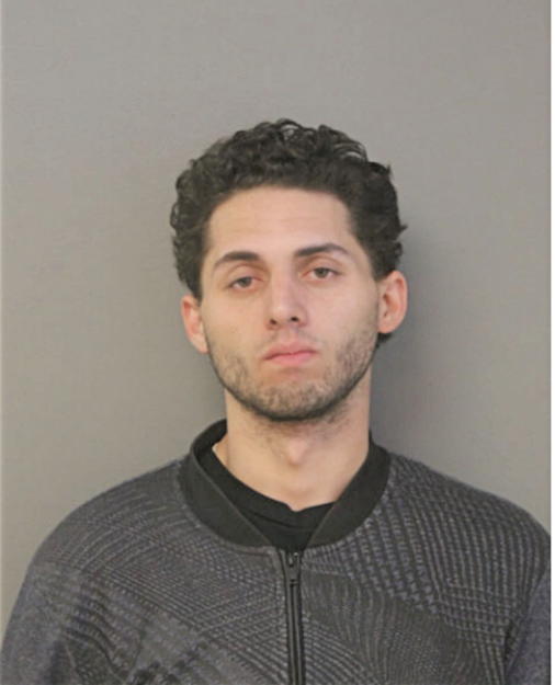JOSE A SANCHEZ, Cook County, Illinois