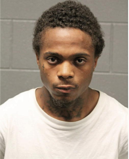 WESLEY P STOKES, Cook County, Illinois