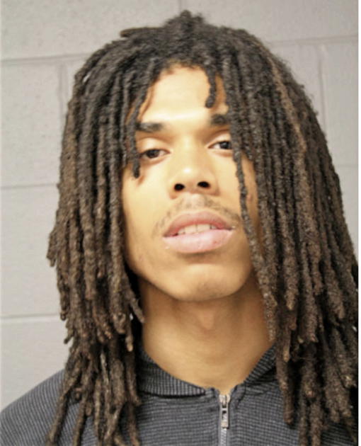 SEAN M TURNER, Cook County, Illinois