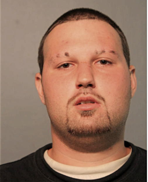 ANTHONY J VERTHEIN, Cook County, Illinois