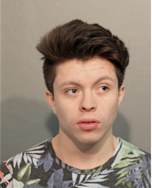 CARLOS ZEPEDA, Cook County, Illinois