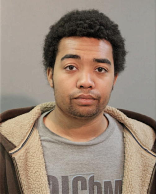 TARIK L ALLEN, Cook County, Illinois