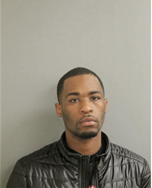SHAHUN L ANDERSON, Cook County, Illinois
