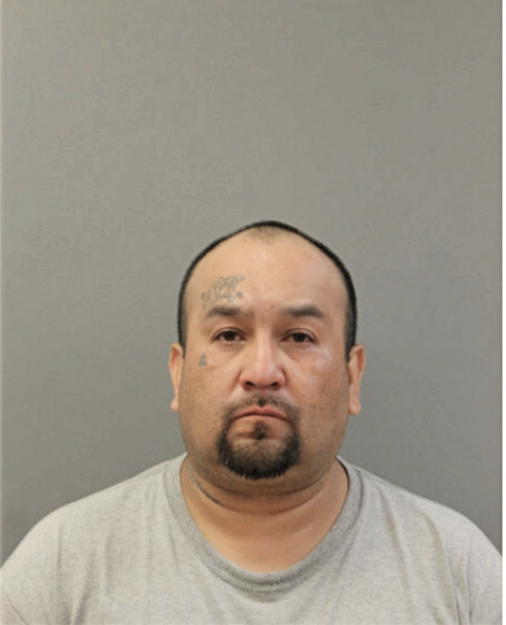 ALEX M BIJARRO, Cook County, Illinois