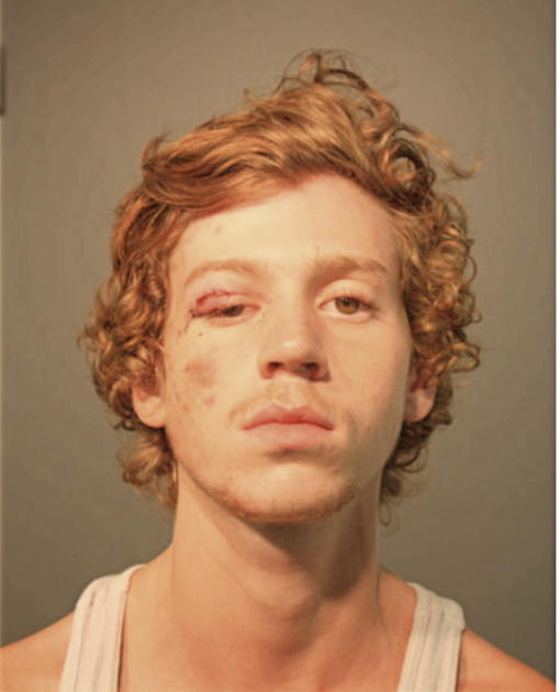 SEAN O BOYLE, Cook County, Illinois