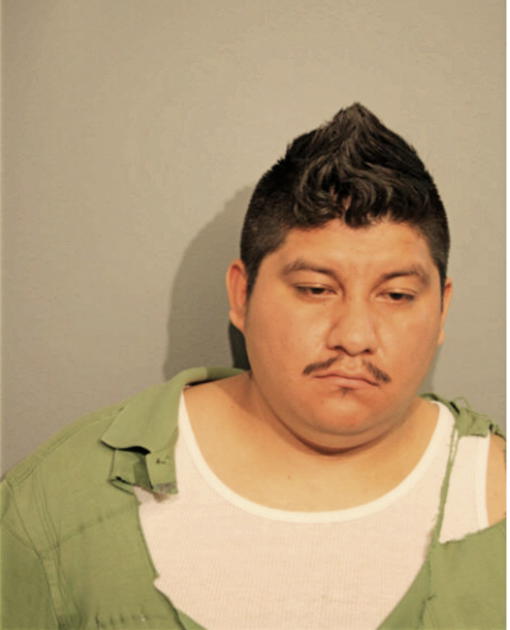 LUIS A CARRERA, Cook County, Illinois