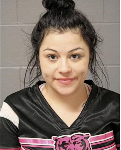 CASSANDRA CASTRO, Cook County, Illinois