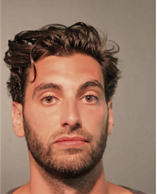 MICHEAL J CRISCIONE, Cook County, Illinois