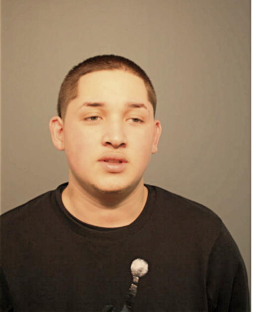 JOHNATHAN FERNANDEZ, Cook County, Illinois