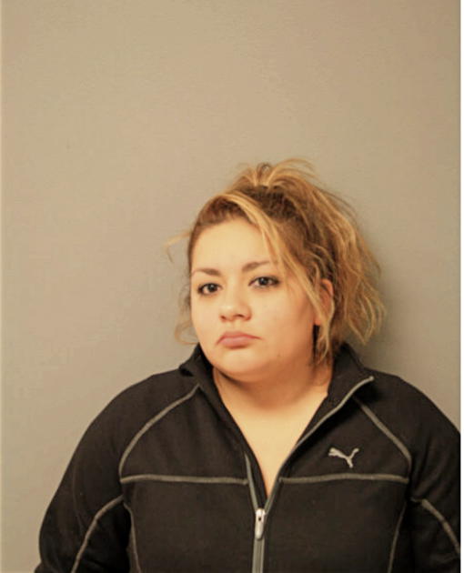 ADRIENNE S HERNANDEZ, Cook County, Illinois