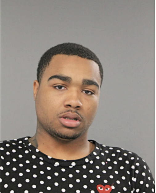 HOWARD R JOHNSON, Cook County, Illinois