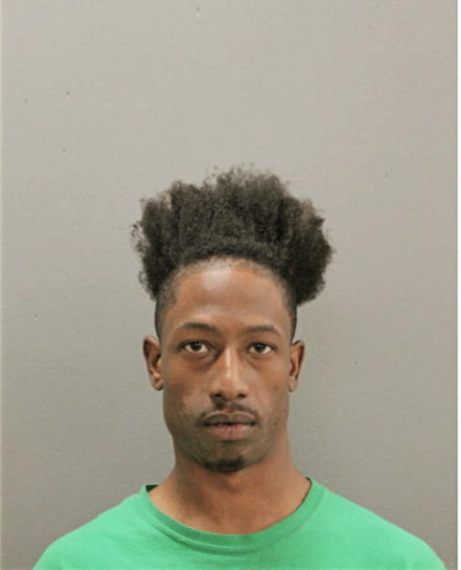 MARLON S LEE, Cook County, Illinois