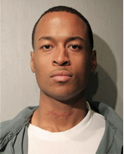 MICHAEL A LEE, Cook County, Illinois