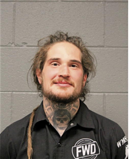 ANDREW A LEWIS, Cook County, Illinois