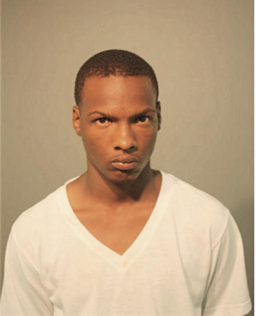 CHRISTOPHER A MCGHEE, Cook County, Illinois