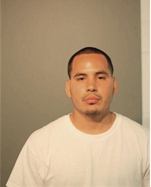 MICHAEL MENDOZA, Cook County, Illinois