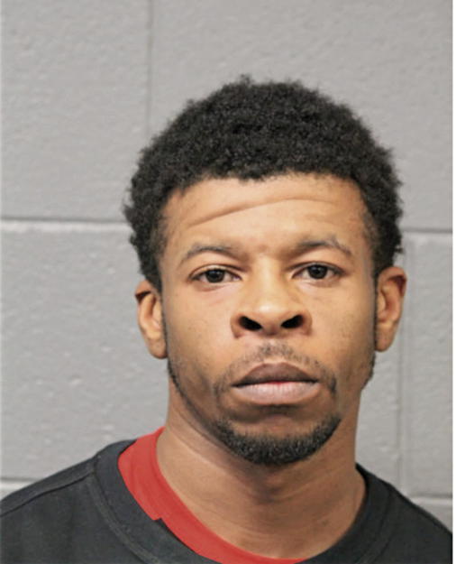 CHRISTOPHER L PERKINS, Cook County, Illinois