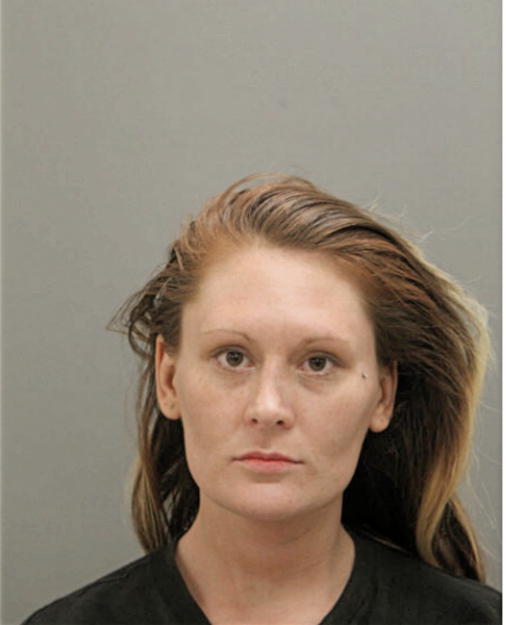 KERRI L SOKOLOWSKI, Cook County, Illinois