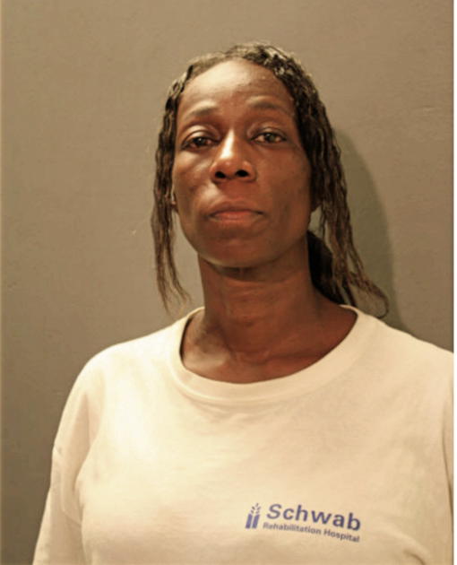 MICHELLE J WHITE, Cook County, Illinois